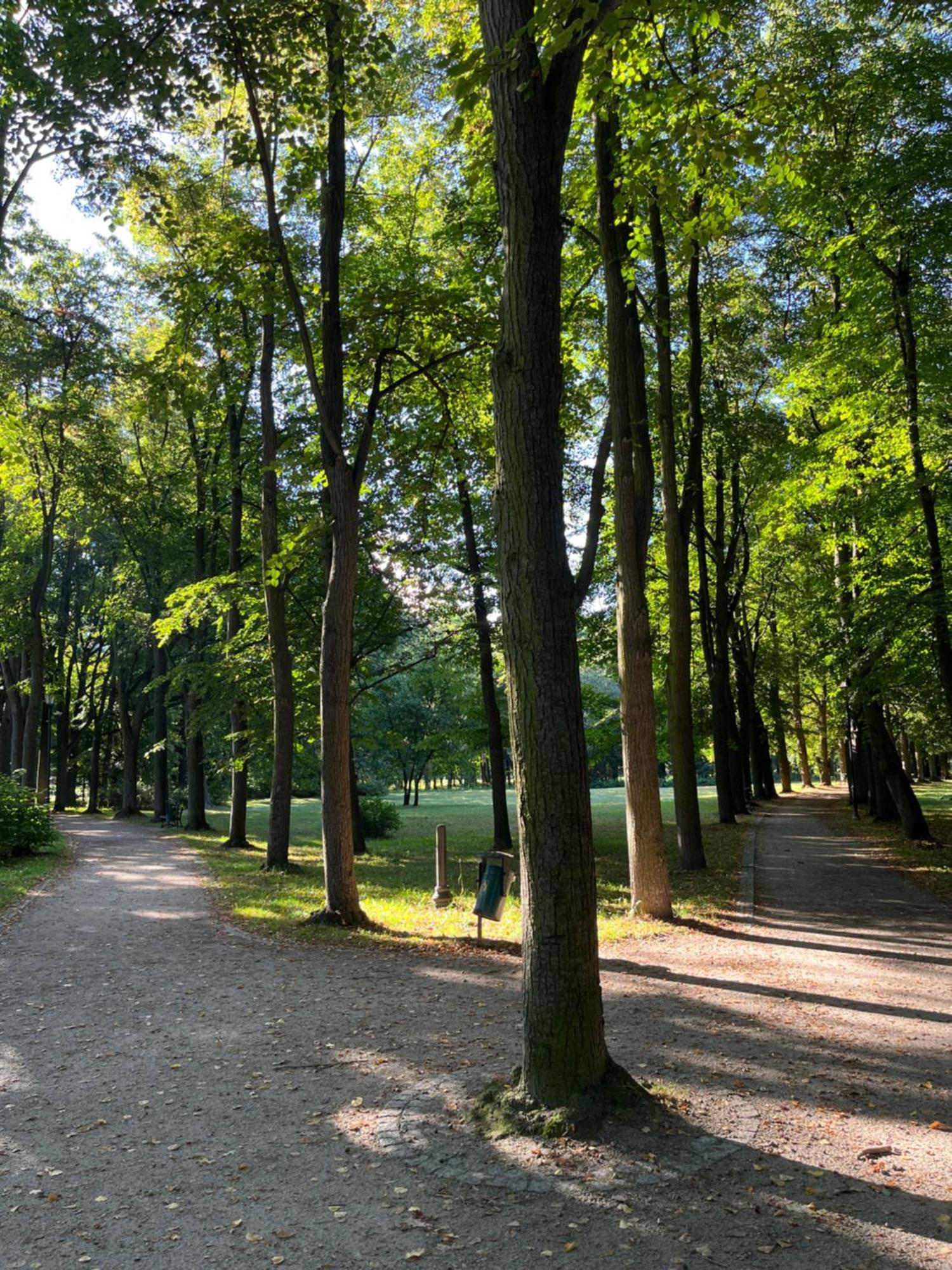 Sweet Home Cieplice Mountain View Apartament By The Main Park And Thermal Pools Jelenia Góra Exteriör bild